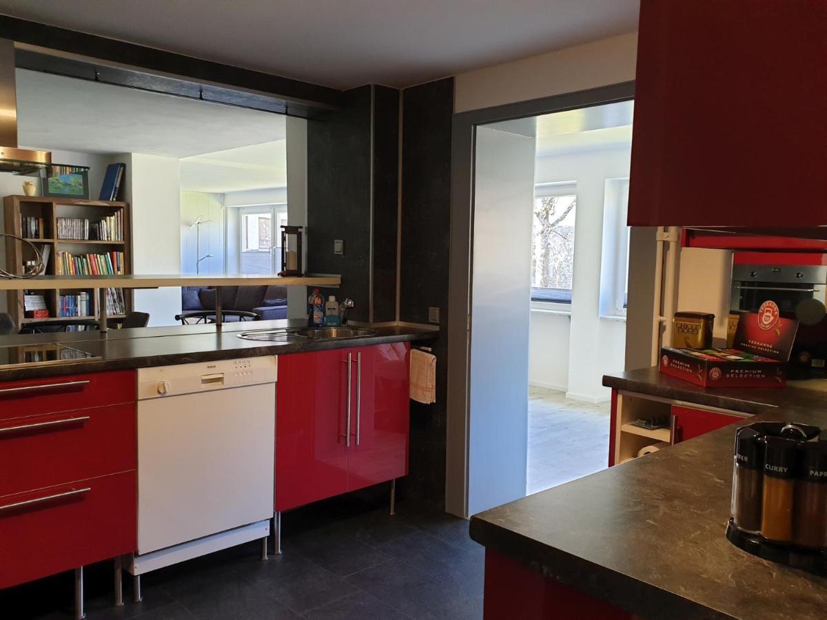 Kurpark-Suite Schonach im Schwarzwald Kültér fotó
